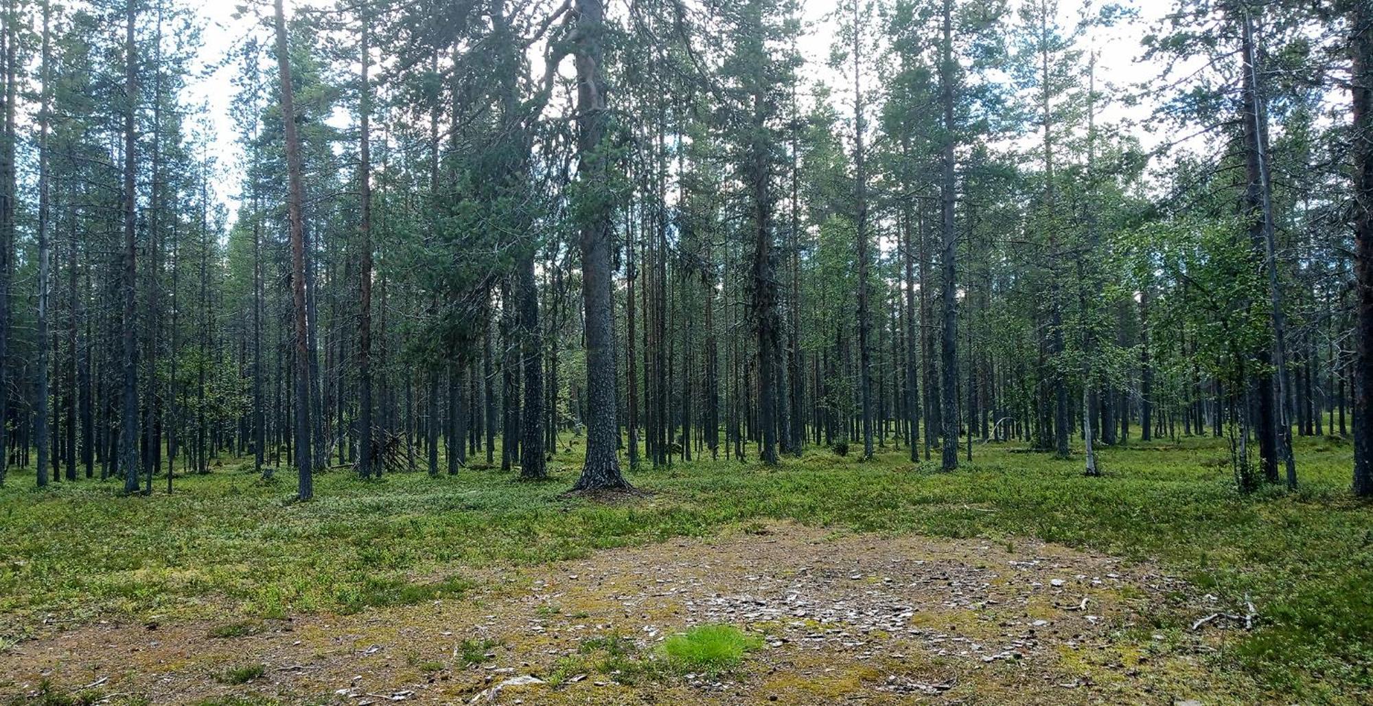 Kuukkeli Apartments Vuotso Dış mekan fotoğraf